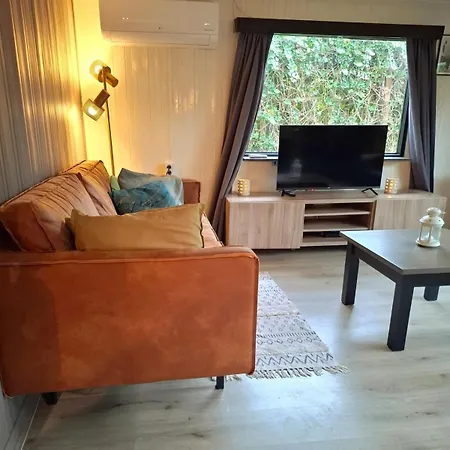 Modern Dog Friendly Veluwe With Fenced Garden & Air Conditioning - Forest And Sauna Nearby プッテン