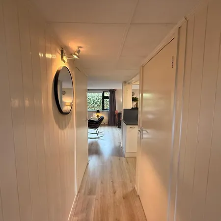 Modern Dog Friendly Veluwe With Fenced Garden & Air Conditioning - Forest And Sauna Nearby * プッテン