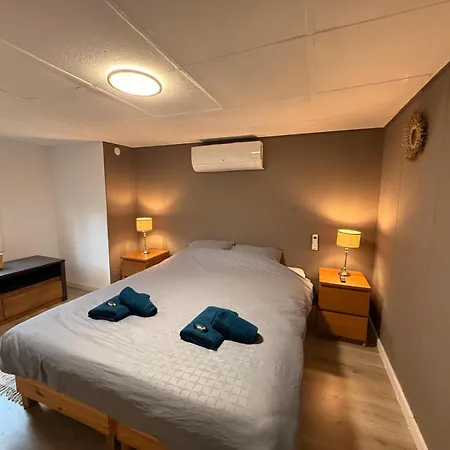 Modern Dog Friendly Veluwe With Fenced Garden & Air Conditioning - Forest And Sauna Nearby *