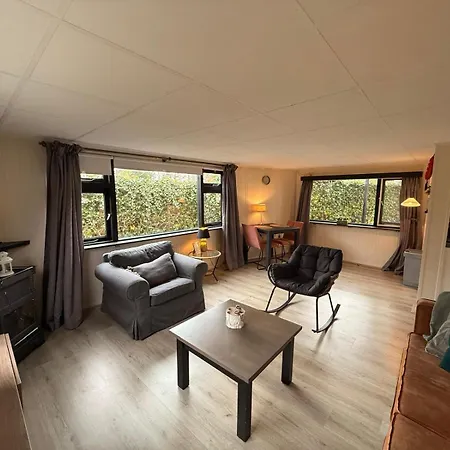 Modern Dog Friendly Veluwe With Fenced Garden & Air Conditioning - Forest And Sauna Nearby シャレー