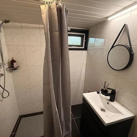 Modern Dog Friendly Veluwe With Fenced Garden & Air Conditioning - Forest And Sauna Nearby